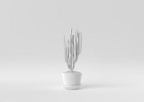 White Tree pot in white background. minimal concept idea creative. monochrome. 3D render. photo