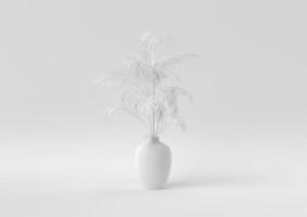 White Tree pot in white background. minimal concept idea creative. monochrome. 3D render. photo