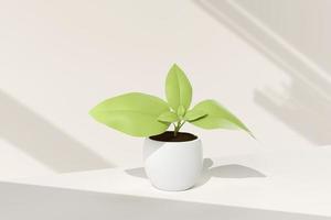 Tree pot in white background. minimal concept idea creative. 3D render. photo