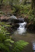 hojas caídas en la cascada rocosa. el arroyo rocoso se alimenta a lo largo del río. cascada en el bosque. hermoso paisaje de bosque y río. foto