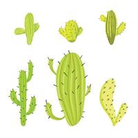 Vector set of green cactus plants. Isolated elements for design.