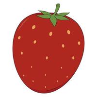 Vector illustration of strawberry. Berry in cartoon style isolated on white background