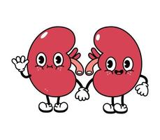 Kidney Cartoon Vector Art, Icons, and Graphics for Free Download