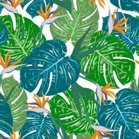 Ilustración de vector de hoja tropical monstera. estampado de verano. bandera vectorial diseño de arte de línea de tinta. patrón sin costuras