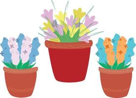 Flat spring flowers-hyacinths and crocuses in pots isolated. Blossom plant, botanical flowerpot. Vector illustration.