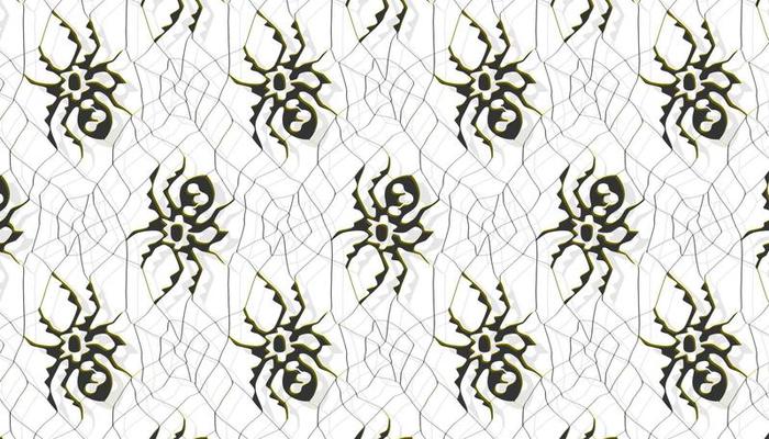 abstract spider on white background