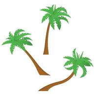 Palm trees isolated on white background. Vector illustration