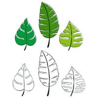 conjunto de ilustraciones vectoriales de hojas tropicales vector