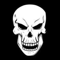 Vector Skull Illustration. Skeleton draw