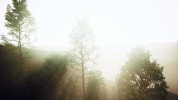 paisagem cênica com falésias íngremes e árvores durante um dia ensolarado video