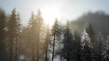 dramatic winter sunrise in the mountains video