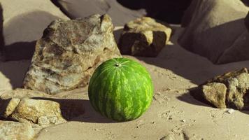 fresh watermelon on a beautiful sand beach photo