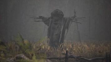 terrible scarecrow in dark cloak and dirty hat stands alone in autumn field photo