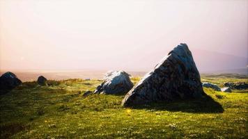 alpine meadow with rocks and green grass video