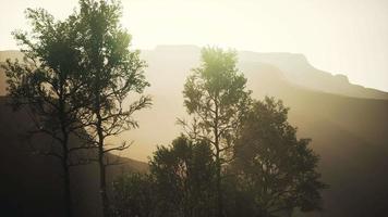 beautiful rocks with few trees at the daylight in Nepal video