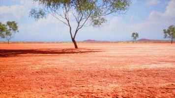 tierra seca agrietada durante la estación seca video