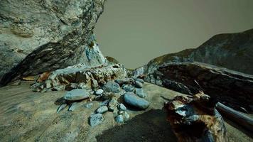 hyperlapse di spiaggia rocciosa con alberi morti video