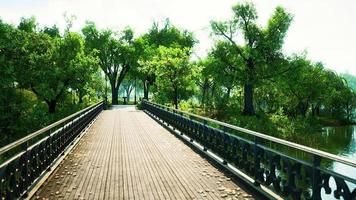 Puente viejo de 8k en el parque en verano video