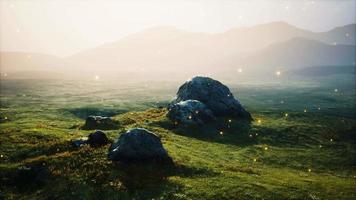 big stones in grass field video