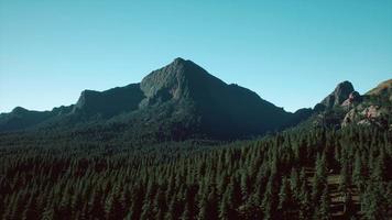 paisaje de bosque de montaña bajo el cielo de la tarde video