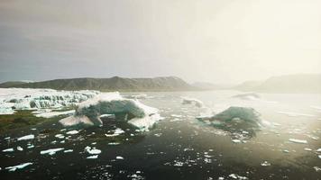 gran glaciar en la costa de la Antártida una soleada tarde de verano video