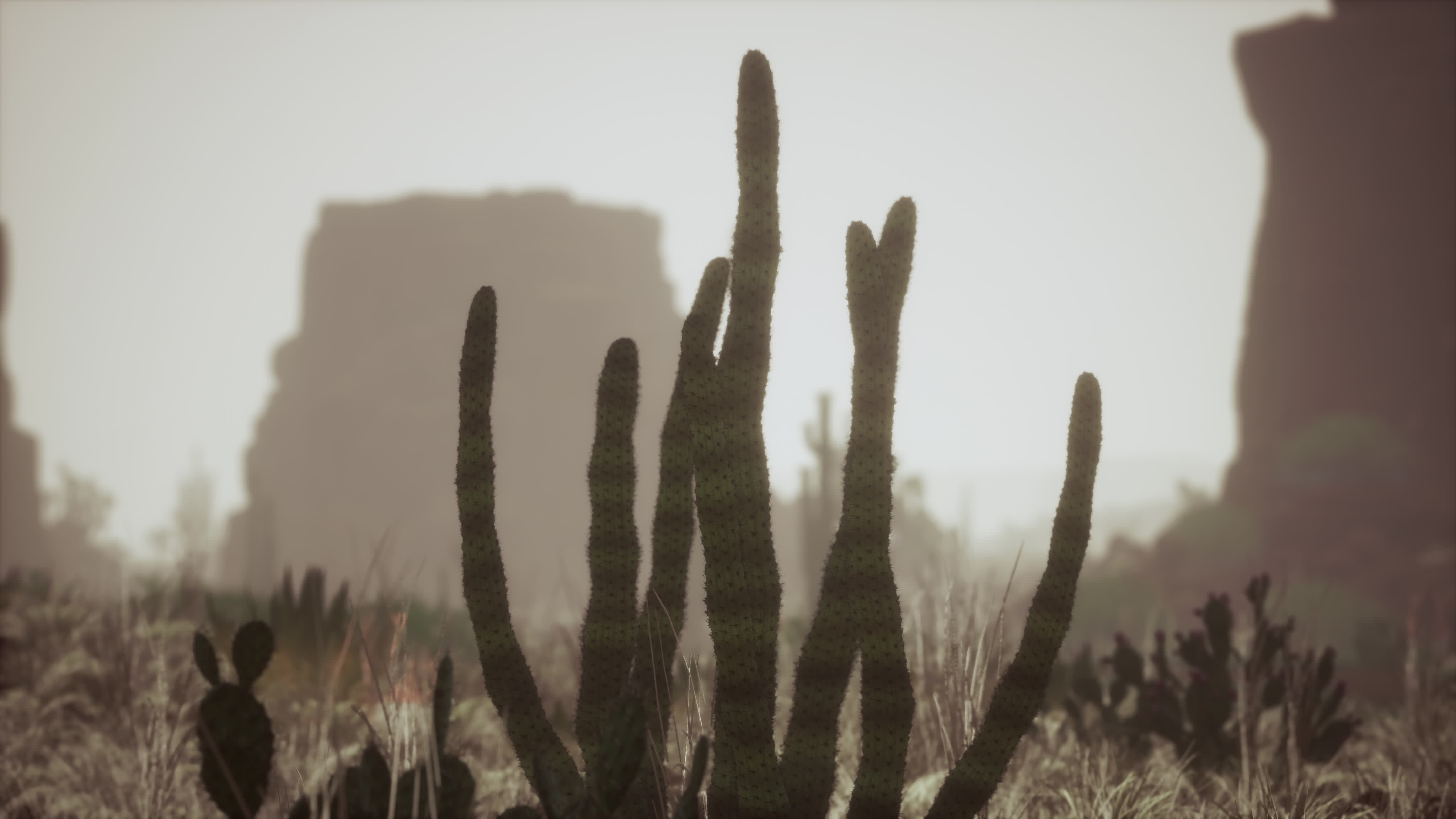 sunlight ray shooting across the desert sky at sunset 5525624 Stock ...