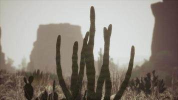 raggio di sole che spara attraverso il cielo del deserto al tramonto video