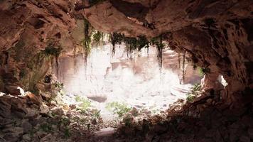 à l'intérieur d'une grotte calcaire avec des plantes et du soleil video