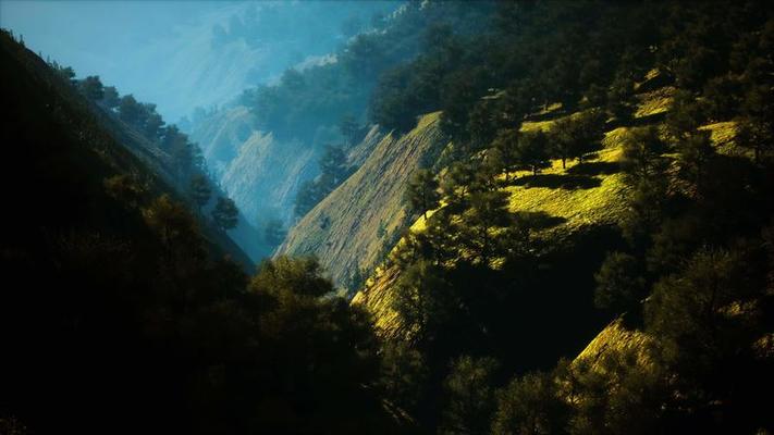 Nature Photography Stock Video Footage for Free Download