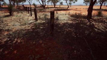 pampas con cerca de alambre de púas y arbustos secos video