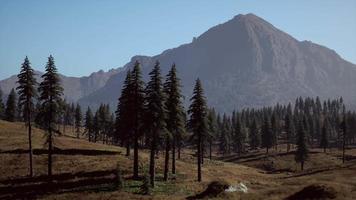 vista panoramica della catena montuosa con alberi in autunno video