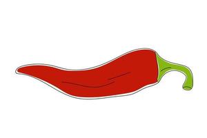 Hand drawn chili pepper. vector
