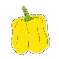 Hand drawn yellow bell pepper. vector