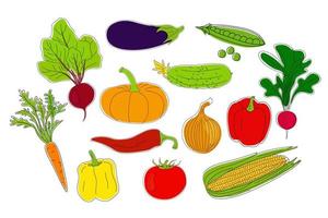 conjunto de verduras dibujadas a mano. vector
