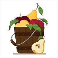 Vector illustration of a wooden fruit bucket isolated on a white background. Apples and pears