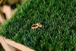 A pair of wedding rings on grass photo