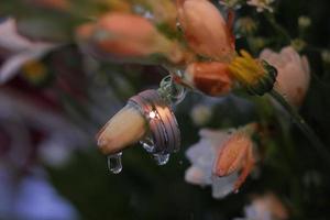 A pair of wedding rings on a bouquet of flowers photo