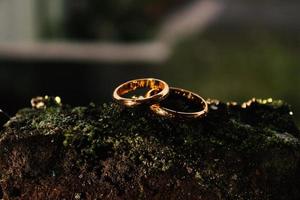 anillos de boda símbolo amor familia. un par de anillos de boda sencillos