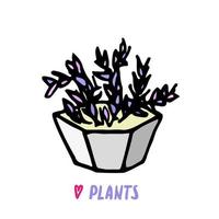 Succulent doodle print. Home plants in modern flowerpot vector