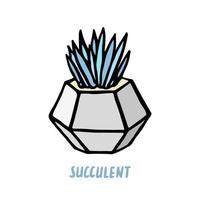 Succulent doodle print. Home plants in modern flowerpot vector