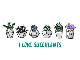 Set of succulents cactus houseplants in grey flower pots. Vector icons on white background