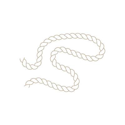 Rope icon vector illustration template