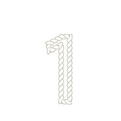 Number Rope icon vector illustration template