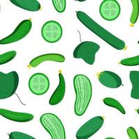 Bright vector seamless pattern of colorful fresh cucumbers.