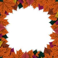 Autumn background with colorful autumn leaves vector