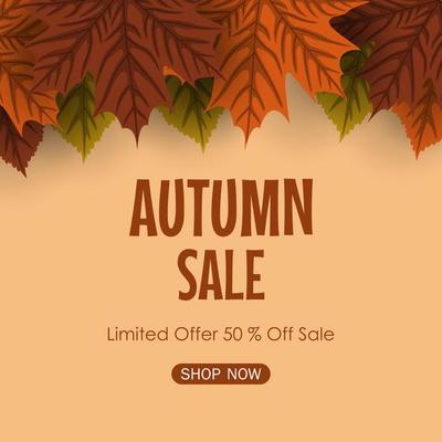 Autumn sale background with colorful leaves