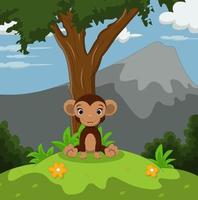 Cartoon cute baby monkey sitting in the grass vector