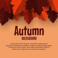 Autumn background with autumn leaves vector