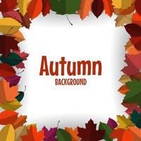 Autumn background with colorful autumn leaves vector