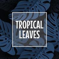 Tropical leaves background with jungle plants vector